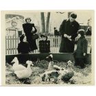 An American Zoological Garden - Vintage Photograph