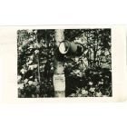 Gypsy Moth Survey -  Vintage Photograph