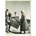 UNICEF: United Nations Symbol For Help - American Vintage Photograph 
