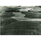 Leadership in Agricultural Production - American Vintage Photograph