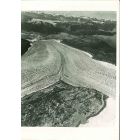 International Ocean Safety - American Vintage Photograph 