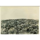 Man-made Miracle- American Vintage Photograph 