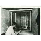 Individual Re search - American Vintage Photograph