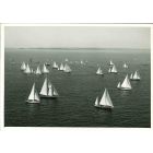 Bermuda Race in High Point of U.S.