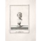 Antiquities of Herculaneum Exposed
