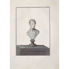 Ancient Roman Bust