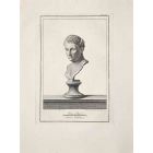Ancient Roman Bust