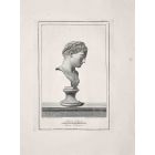 Ancient Roman Bust