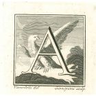 Capital letter for the Antiquities of Herculaneum Exposed