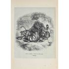 The Lion, Jaguar, Tiger