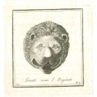 Ancient Lion Head