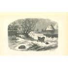 The Hedgehog and Dog In Winter Of  Village
