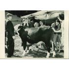 County Fair - American Vintage Photograph