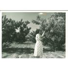Middle-class American Woman- American Vintage Photograph