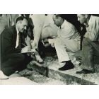 Golden Weapon - American Vintage Photograph