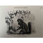 The Monkey