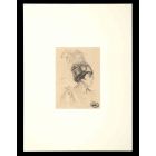  Portrait of Woman