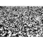 Essay Contest - American Vintage Photograph