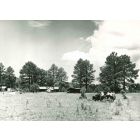 Digging Camp - American Vintage Photograph