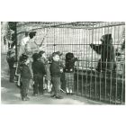 Play School - American Vintage Photograph