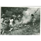 Junior Volunteers - American Vintage Photograph 