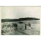 Gardening Beneath - American Vintage Photograph