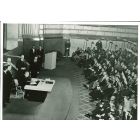 The Free World - American Vintage Photograph