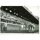 Championship - American Vintage Photograph