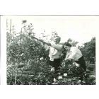 Casey Stengel - American Vintage Photograph