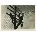 Telephone Wires