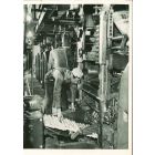 Modern Newspaper Plant - American Vintage Photograph