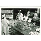 Packing Industry - American Vintage Photograph