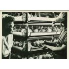 Cattle Feed - American Vintage Photograph