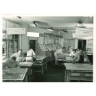 Weather Centrals - American Vintage Photograph