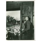 Telephone System - American Vintage Photograph