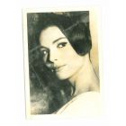 Elsa Martinelli - Vintage Photograph