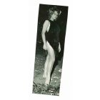 Portrait of Miranda Martino - Vintage Photo
