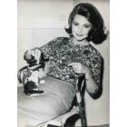 Sylva Koscina - Vintage Photo