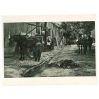 Country Life Of  Rome - Vintage Photograph