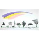 Un Viale di Alberi Diversi (A Driveway of Different Trees)