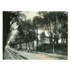 View Of Rome - Vintage Photograph 