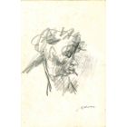 The Profile