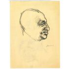 The Profile 
