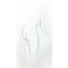 The Posing Nude  