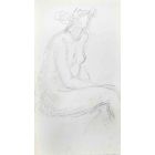 The Posing Nude   