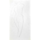 The Posing Nude  from Back