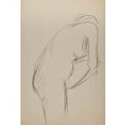 The Posing Nude