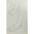The Feet