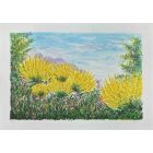 Gorse