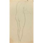 Nude from the back